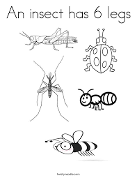 Ohio Insects Coloring Pages Google Search Insect Coloring Pages Bug Coloring Pages Pumpkin Coloring Pages