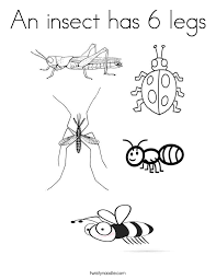 A series of coloring pages about the different orders of insect. Ohio Insects Coloring Pages Google Search Bug Coloring Pages Insect Coloring Pages Puppy Coloring Pages