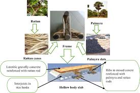 Image result for Calamus deerratus