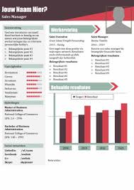Gratis 100 Cv Template Voorbeelden Met Motivatiebrief In Word