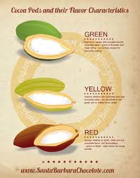Cocoa Pods And Their Flavor Characteristics Chocolate Wholesale Chocolate Fair Trade Chocolate