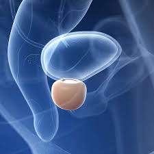 Prostataentzundung Erkennen Und Behandeln Ndr De Ratgeber Gesundheit