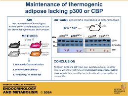 Image result for Beige 1983 Caloric