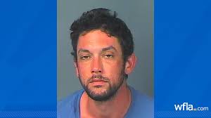 Wrong-way driver arrested after crash that killed 6-month-old and mom in  Spring Hill, FHP says