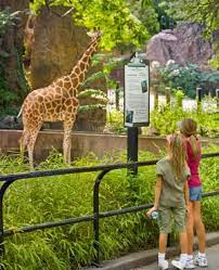 A Philly Summertime Must See The Philadelphia Zoo America S First Is Home To Nearly 1 300 Animals And A Ne Philadelphia Zoo Visit Philadelphia Visit Philly