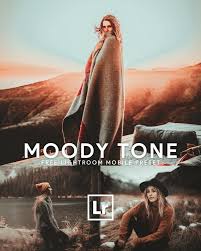 Free Lightroom Mobile Presets Download Lightroom Mobile In 2020 Lightroom Presets Free Photoshop Presets Free Free Lightroom Presets Portraits