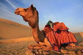 Ankara'dan düzenlenen eskişehir turları ile mükemmel şehir eskişehir'i keşfetmeye ne dersiniz? Fas Turlari Kisi Basi 699 Eur 6 Taksit