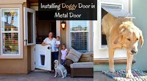 You can rent this equipment also, in case of an emergency. How To Install A Dog Door In A Metal Door Try In Your Panel Door