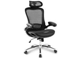 Sihoo M57 Ergonomic Office Chair High Back Computer Desk Chair Breathable Mesh Chair Adjustable 3d Armrest And Lumbar Support Black Newegg Com