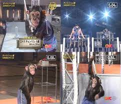 In 2006, Japan aired a late night TV talk show specifically aimed at animal  audiences, claiming that it was an underrepresented demographic. The show  was hosted by a chimp named Gomez Chenbalin.
