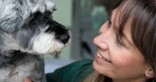 Mandeville Veterinary Hospital