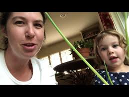 Easy Tu B'Shevat Activities with Kids (Tree Books and Indoor Gardening) (Tu  B'Shvat Tubishvat)