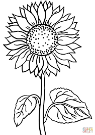 Sunflower Super Coloring Sunflower Coloring Pages Printable Flower Coloring Pages Sunflower Drawing