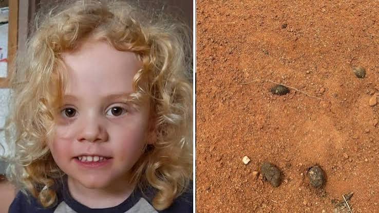 Gus Lamont: Search for 4yo Yunta boy now a 'recovery' as SA police deliver grim update | The Nightly