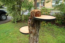 Pin On Yard Ideas