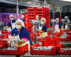 Bienes y servicios empleados en la vida cotidiana por núcleos familiares. En El Sector Pesquero Fuerza Femenina Mueve Economia Nacional Comision Nacional De Acuacultura Y Pesca Gobierno Gob Mx