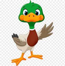 You can download the mallard duck cliparts in it's original format by loading the clipart and clickign the. Clip Free Library Clipart Goose Cute Mallard Duck Clipart Png Image With Transparent Background Toppng