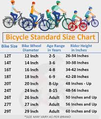 Intex Aqua Kids Cycles Red 35 56 Cm 14 Comfort Bike Kids Bicycle