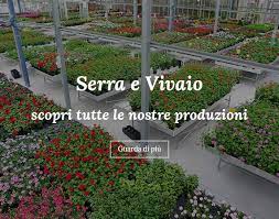 A dar loro voce è stefano bordiglioni, che ha tradotto in parole il loro punto di vista. Mondoverde Florovivaistica