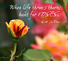 We did not find results for: Quotes About Rose Flower 57 Quotes