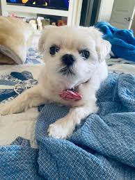 Most nights she goes to the bedroom and gets snuggled