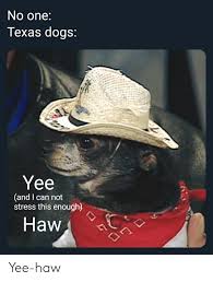 No One Texas Dogs Yee And I Can Not Stress This Enough Haw L Yee Haw Dogs Meme On Me Me