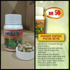 Khasiat daun kepayas | pepaya pucuk daun betik penyembuh penyakit pucuk betik/bunga betik dibahagikan kepada tiga. Kapsul Daun Betik Ndlife Shopee Malaysia
