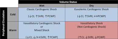 Contemporary Management Of Cardiogenic Shock A Scientific