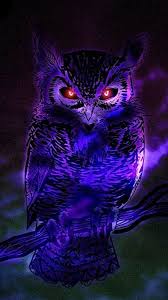 Free download high quality and widescreen resolutions desktop background images. What Animal Familiar Is Yours In 2021 Owl Wallpaper Owl Artwork Owl Pictures