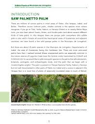 Image result for Acoelorrhaphe wrightii