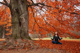 Maybe you would like to learn more about one of these? Spring Yoga Retreat In North Carolina Go Eat Give