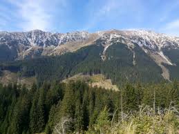 Check spelling or type a new query. Adz Online Wandern Ein Sonntagsspaziergang Von Mgura Bis Pestera