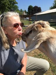 Soap, Cheese and Therapy