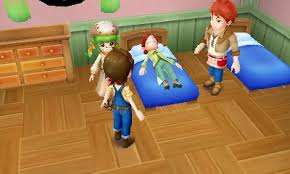 Natsume released the setup for harvest moon: 5th Skytree Story Walkthrough Harvest Moon Skytree Village Help Guide