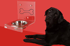 Infine, per aiuto in più, possiamo anche ricorrere agli snack dentali: Quantita Giornaliera Di Cibo Per Cani Tabella Dosi In Base A Taglia Ed Eta