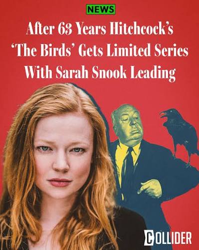 More than 60 years after Alfred Hitchcock's iconic film, 'The Birds' is  getting a fresh, chilling new take 🐦😱 A new limited series based on the  horror classic is in the works,