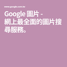 google 圖片 網上最全面的圖片搜尋服務 google images image image search