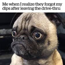 No Credit Mean Mug Pug Pug Pugs Funny Pugs Funny Dogs