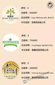 Chief executive officer, maxis telecommunication berhad. é©¬æ¥è¥¿äºš å°å°¼ç‡•çªåŠ å·¥ä¼ä¸šåœ¨åŽæ³¨å†Œåå• æˆªæ­¢è‡³2018 6 22 æ¯æ—¥å¤´æ¡