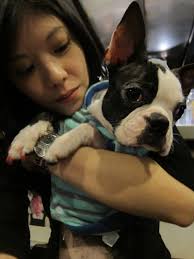 The Volunteers 志願者