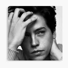 Lienzos: Cole Sprouse
