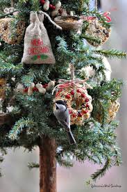 Rebecca S Bird Gardens Blog A Christmas Tree For The Birds Outdoor Christmas Tree Decorations Outdoor Christmas Tree Christmas Decorations Diy Outdoor