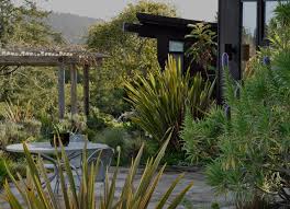 Mahi raranga (nz flax weaving) and photography. Great Design Plant New Zealand Flax