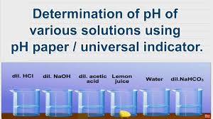 determination of ph of various solutions using ph paper universal indicator 10th science lab