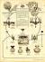 Art Deco 1920s Lighting