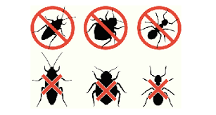 Pest control bribie island is here to protect your family home, rental property or business from any form of pest infestation or problem you may have. Carpet Cleaning Sunshine Coast Pest Control From 15 Room