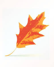 Sandra Bourque Obituary