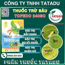 Tofedo 240SC