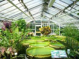 They bring that garden green touch to the room while being small and elegant enough to fit on any desk. Greenhouse Simple English Wikipedia The Free Encyclopedia