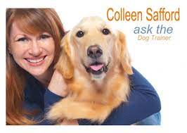 Ask The Dog Trainer My Puppy Bites My Feet